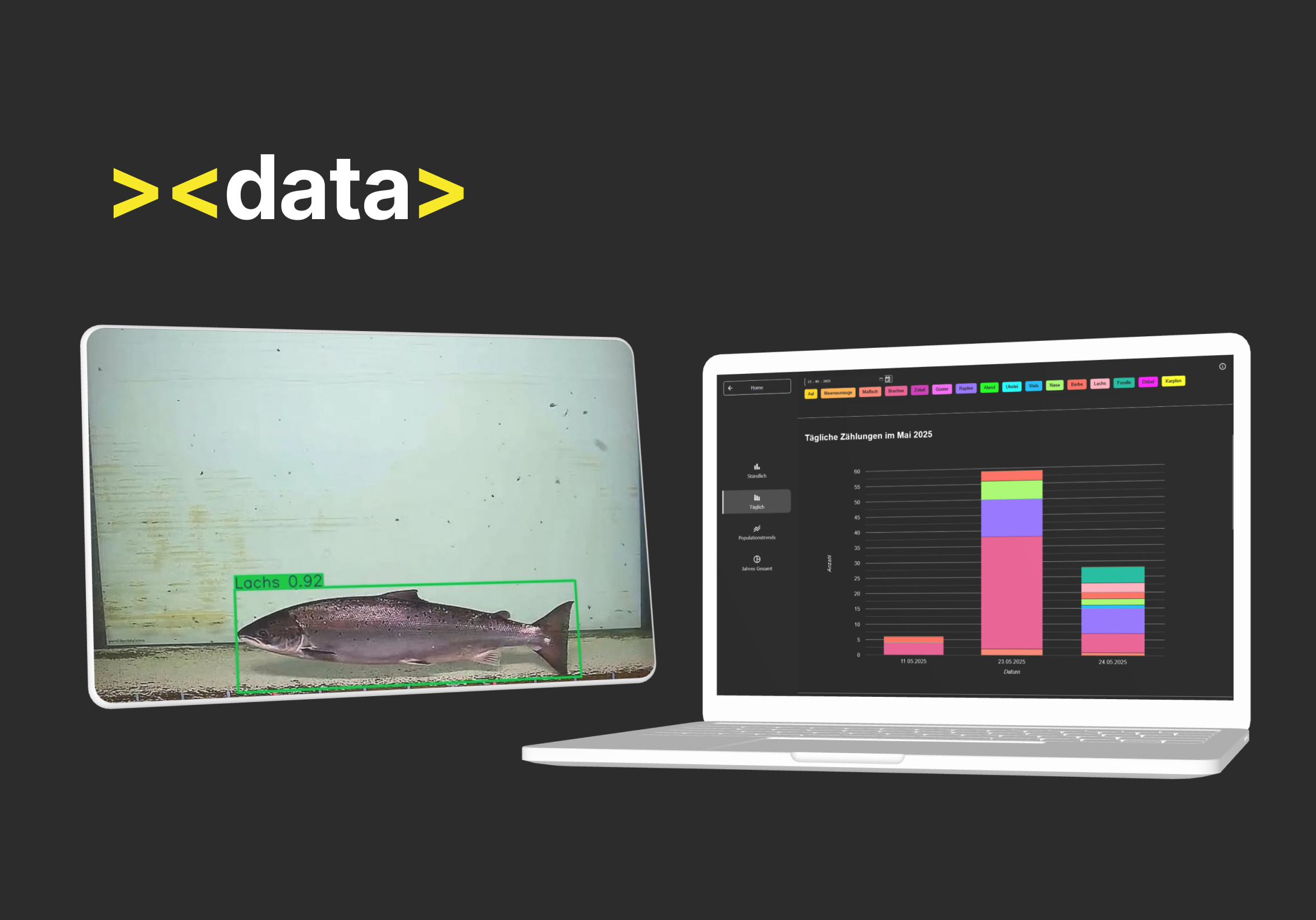 Machine Learning Projekt